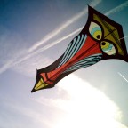 Premier Kites Mandril von Ron Gibian