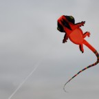 Lizard Gecko Kite (12m orange)