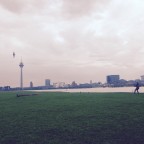 Rheinwiese Düsseldorf