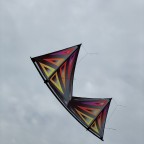 Polo Kites Standard