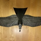 Panying Eagle und Weel