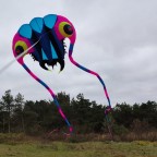 Trilobite Kite (10-pink/blau)