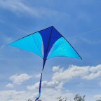 Havlicek Delta meets Ginkgoblatt