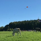 Drachenfest Weingarten 29.09.2019