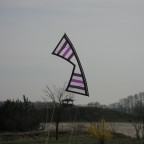 "baSicarex" design "shades of purple"