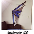 Avalanche 100