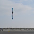 Renesse Pantere2