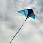 der Ginkgo-Delta hat noch etwas Farbe bekommen