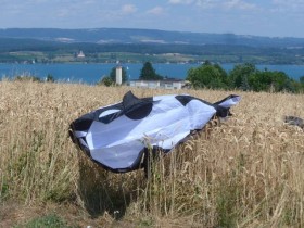 HQ Orca aus dem Weizenmeer gezogen