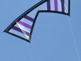 "baSicarex" shades of purple