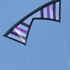 "baSicarex" shades of purple