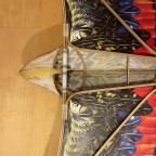 Panying Eagle und Weel