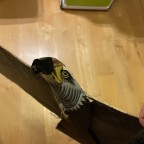 Panying Eagle und Weel