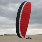 Yackes am Strand von Ouddorp